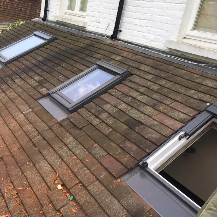 skylights
